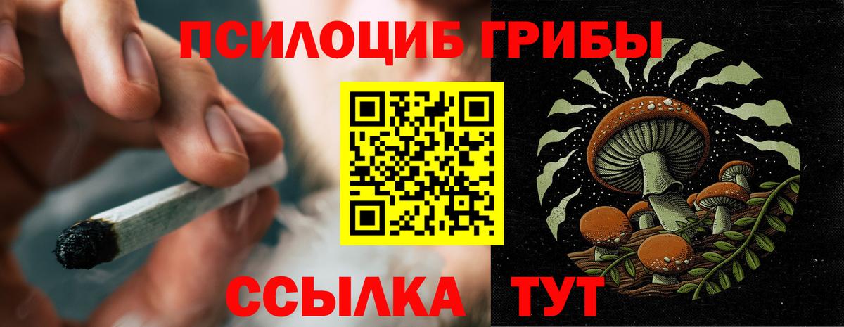 Псилоцибиновые грибы мухоморы  Галлюциногенные грибы прущие грибы  Вход с VPN  цена наркотик  Славгород 